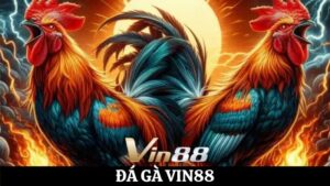 đá gà