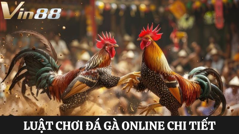 luật chơi đá gà